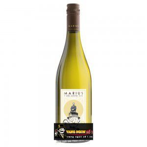 Vang Pháp Marius Michel Chapoutier Languedoc