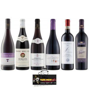 Vang Pháp Georges Duboeuf Domaine Mont Chavy Morgon bn2