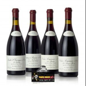 Vang Pháp Nuits St Georges Les Boudots Domaine Leroy 2011 bn2