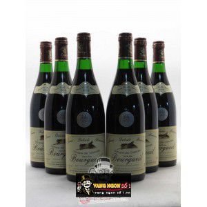 Vang Pháp Bourgueil Domaine des Chesnaies bn1