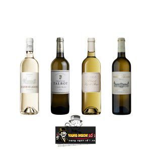 Vang Pháp Chateau Tronquoy Lalande Bordeaux Blanc bn2