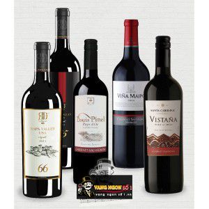 Vang Pháp Louis Pinel Merlot bn1