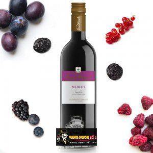 Vang Pháp Louis Pinel Merlot bn2