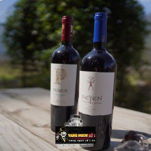 Vang Chile Neyen Espiritu de Apalta bn4