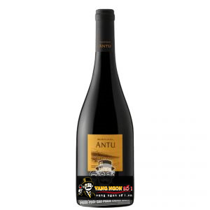 Vang Chile Antu Shiraz