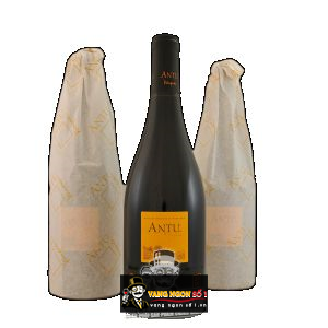 Vang Chile Antu Shiraz bn1