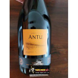 Vang Chile Antu Shiraz bn2