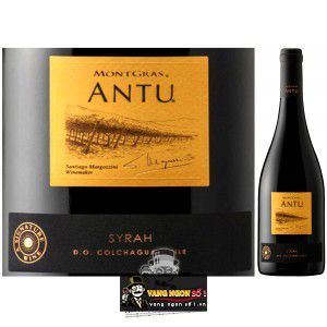 Vang Chile Antu Shiraz bn3
