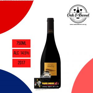 Vang Chile Antu Shiraz bn4