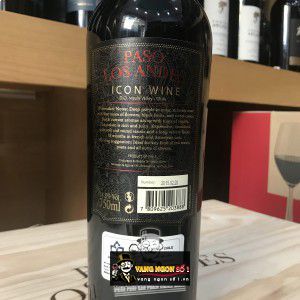 Vang Chile PASO LOS ANDES ICON WINE Thượng hạng bn1