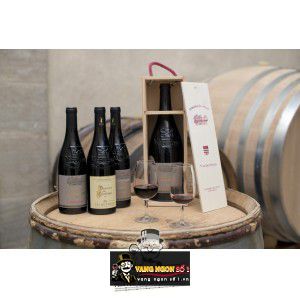 Vang Pháp Vacqueyras Domaine De Chantegut bn2