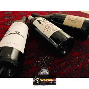 Vang Pháp M de Magnol Barton Guestier Côtes de Bordeaux bn3