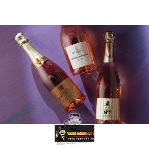 Vang nổ Pháp Chateaux Martinolles Cremant De Limoux Blanc bn1