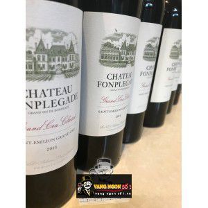 Vang Pháp Chateau Fonplegade Grand Cru Classe 95 điểm bn1