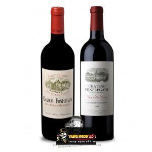 Vang Pháp Chateau Fonplegade Grand Cru Classe 95 điểm bn2