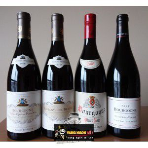 Vang Pháp Mazis Chambertin Grand Cru Albert Bichot bn1