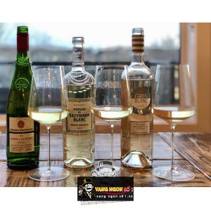 Vang Pháp Terroir Picpoul de Pinet Gerard Bertrand bn1