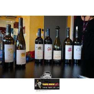 Vang Pháp Jean Luc Colombo La Redonne Cotes du Rhone bn3