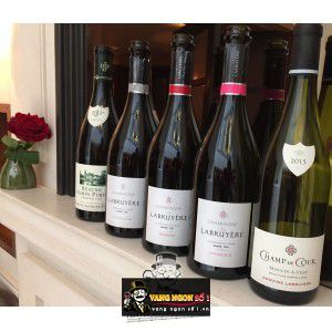 Vang Pháp Bourgogne Gamay Domaine Labruyere bn3
