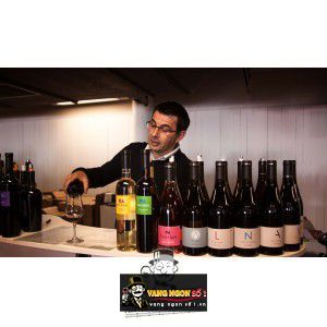 Vang Pháp Altair Mas Amiel bn3