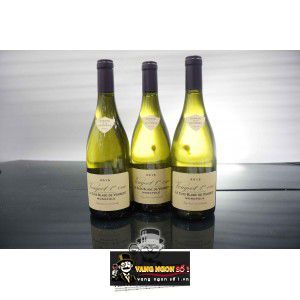 Vang Pháp Vougeot 1st Cru Le Clos Blanc de Vougeot Monopole bn4