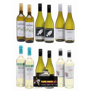 Vang Pháp Moulin de Gassac Classic Blanc bn4