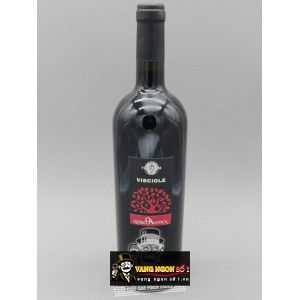 Vang Ý Visciole Velenosi uống ngon