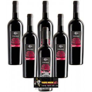 Vang Ý Visciole Velenosi uống ngon bn1