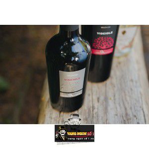 Vang Ý Visciole Velenosi uống ngon bn2