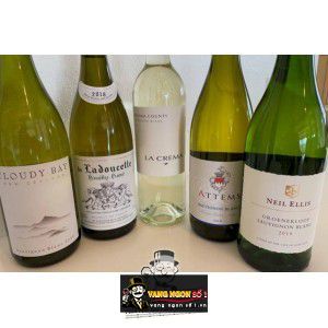 Vang Ý Attems Sauvignon Blanc bn4