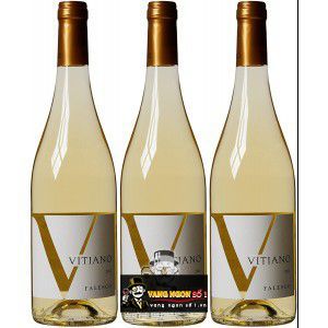 Vang Ý Falesco Vitiano Umbria