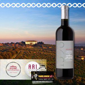 Vang Ý Ser Biagio Barco Reale Artimino 1596 bn1