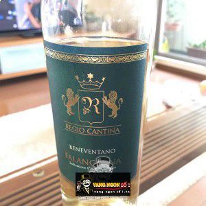 Vang Ý Regio Cantina Falanghina IGT Beneventano bn1