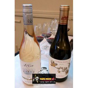 Vang Ý Torricella Barone Ricasoli bn2