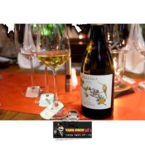 Vang Ý Torricella Barone Ricasoli bn3