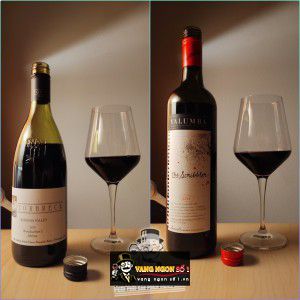 Rượu vang Torbreck Steading Blanc Barossa Valley bn3