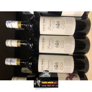 Rượu vang Yalumba Samuel Collection Barossa Shiraz Cabernet bn4