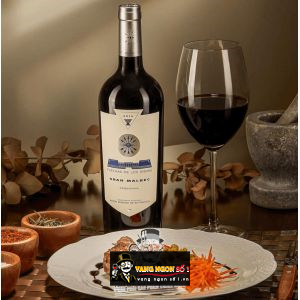 Rượu vang Gran Malbec Flechas de Los Andes bn2