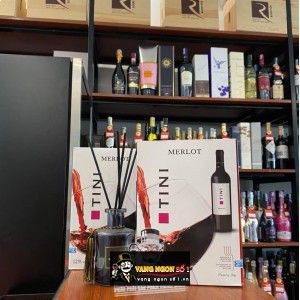 Vang Bịch Ý Tini Merlot 3L bn3