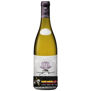Vang Pháp Domaine Chandon de Briailles Corton Grand Cru