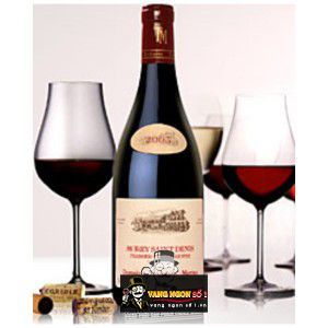 Vang Pháp Corton Rognet Grand Cru Domaine Taupenot Merme bn4