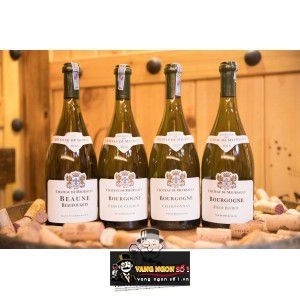 Vang Pháp Beaune Beaufougets Chateau de Meursault bn1