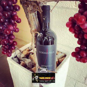Vang Ý Codalunga Aglianico Tenute Girolamo