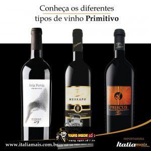 Vang Ý Messapo Primitivo Salento IGP bn1