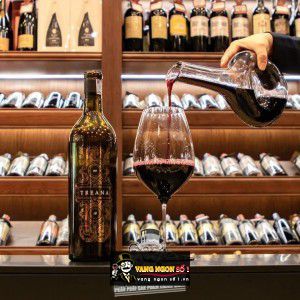 Rượu vang Treana Cabernet Sauvignon Syrah Paso Robles bn3