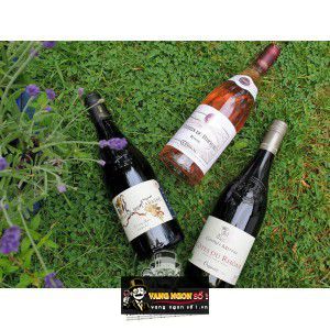 Vang Pháp Cotes du Rhone Guigal Rose bn3
