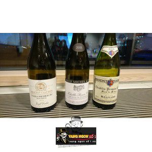 Vang Pháp Chablis Premier Cru Montmains Joseph Drouhin bn2