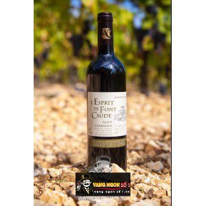 Vang Pháp Esprit de Font Caude Alain Chabanon bn1