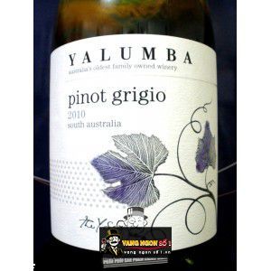 Rượu vang Yalumba Y Series Pinot Grigio bn4