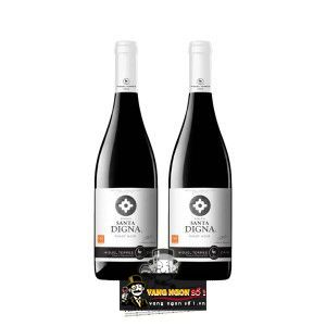 Vang Chile Santa Digna Pinot Noir bn1